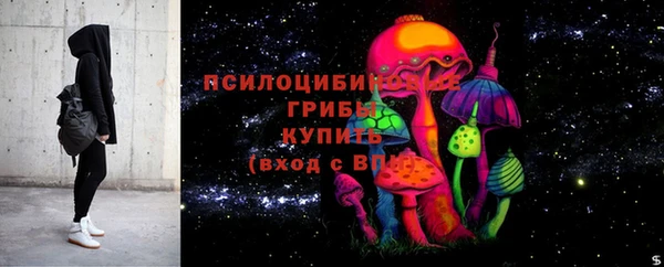шишки Аркадак