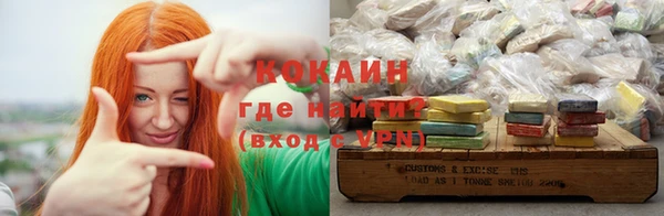 шишки Аркадак