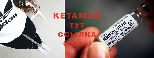 шишки Аркадак