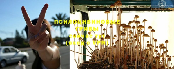 spice Арсеньев